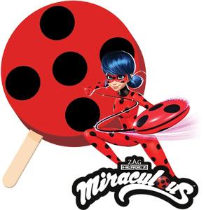 Miraculous Ladybug Bar